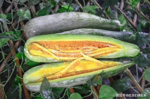 博雅吃瓜网红,揭秘娱乐圈幕后故事 第3张 博雅吃瓜网红,揭秘娱乐圈幕后故事 第3张